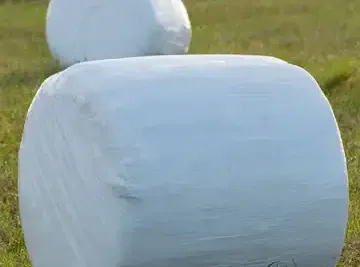 Silage Inoculant