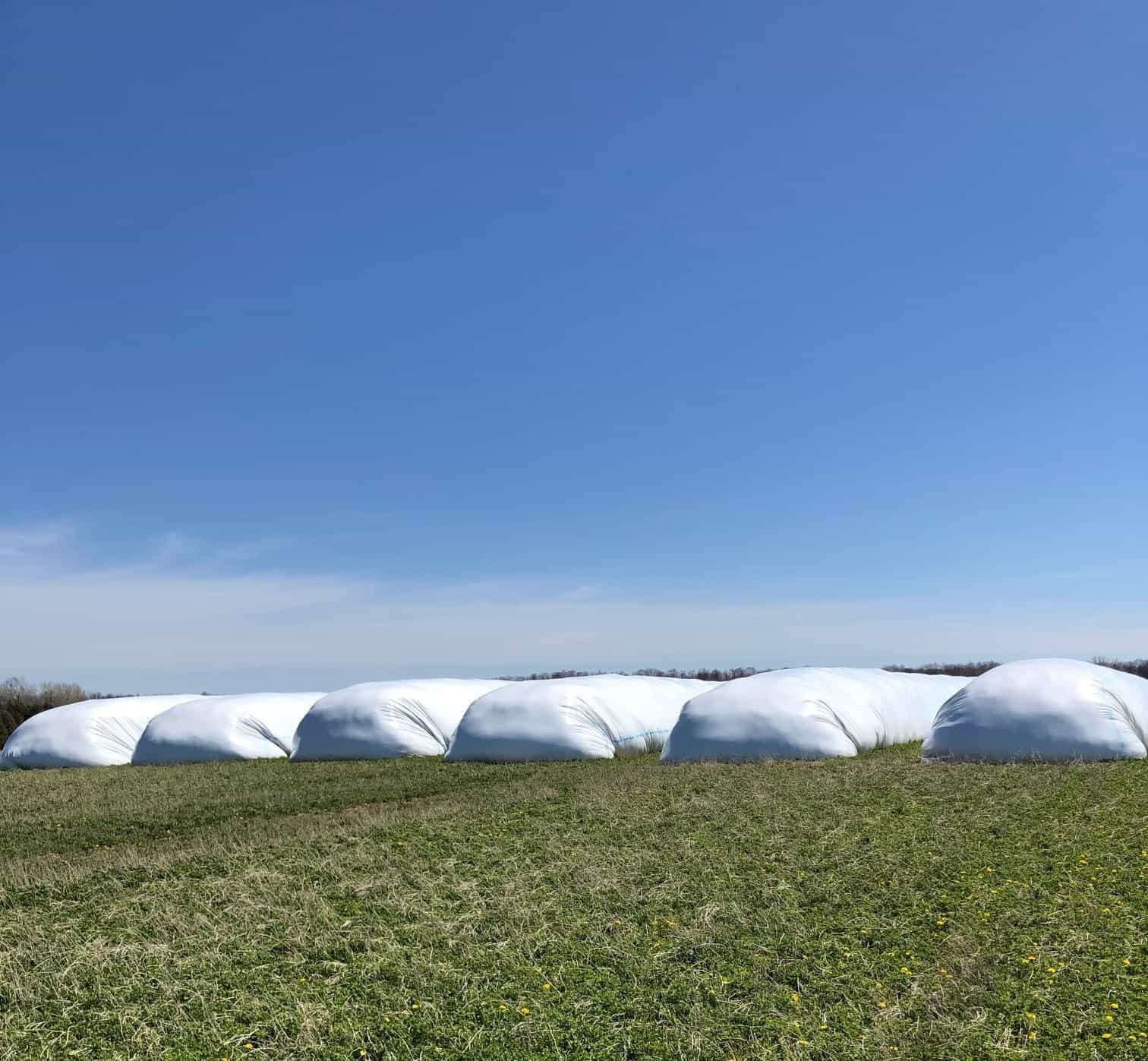 Silage Bags