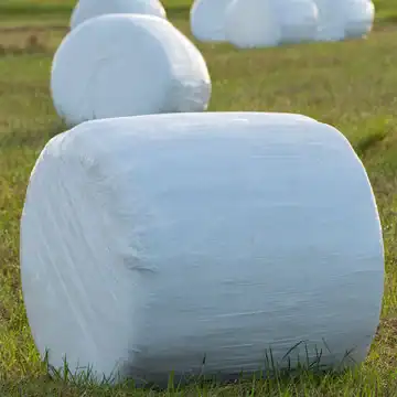 Silage Inoculant